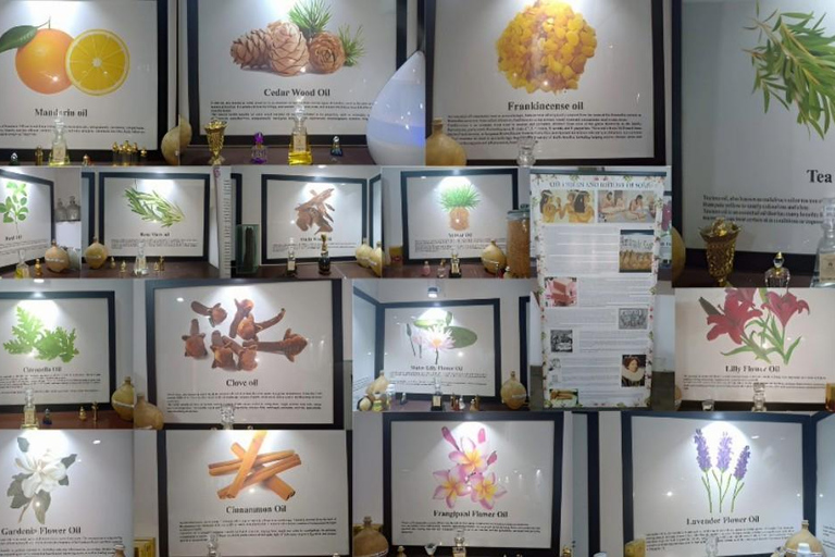 Kochi : promenade sur les traces des épices urbaines