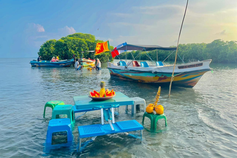 From Negombo: Boat Tour of Negombo Lagoon