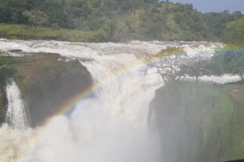 De Kampala: Safari de 3 dias nas Cataratas de Murchison com passeio de rinoceronte