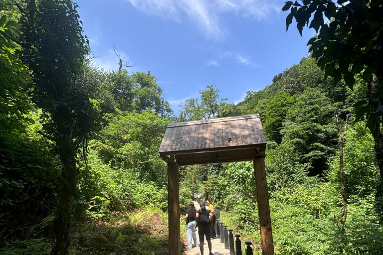 Visite d&#039;une jounée de Batumi aux chutes d&#039;eau