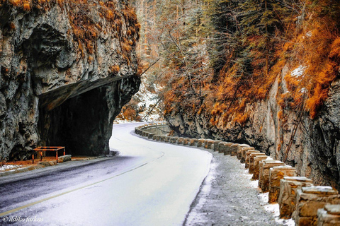 Brasov: Saint Ana Lake & Red Lake Tour
