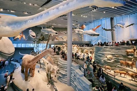 Shanghai Natural History Museum Entry Ticket