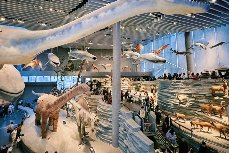 Shanghai Natural History Museum Entry Ticket