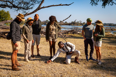 Victoria Falls: Game Walk in the Zambezi National Park Afternoon Game Walk