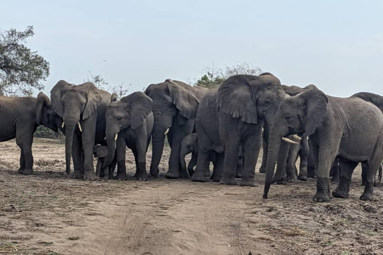 5-Day Wildlife Safari with Kigali City Tour and Lake Kivu.