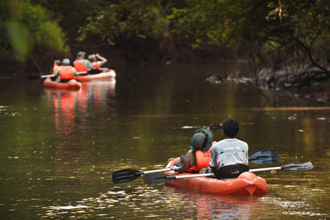 5-Day Iguazu Falls: Jungle Lodge & Airfare from Buenos Aires With Airfare