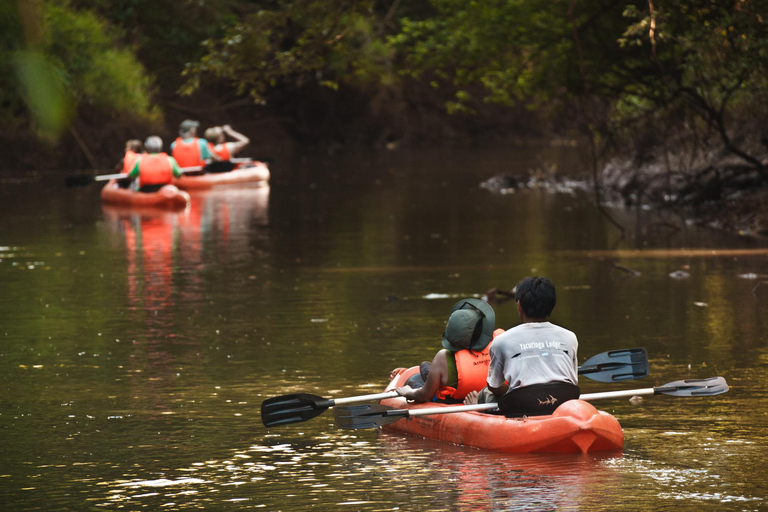 5-Day Iguazu Falls: Jungle Lodge & Airfare from Buenos Aires With Airfare