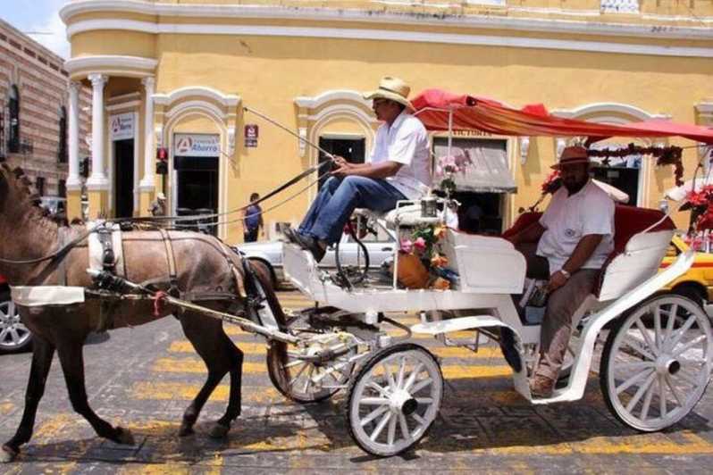 Mérida: Esperienza in carrozza trainata da cavalli