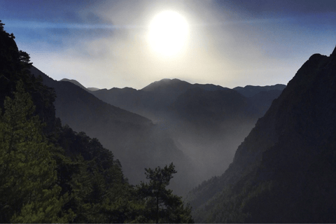 Safaris en Jeep de luxe : Montagnes blanches et visite de la Samarie