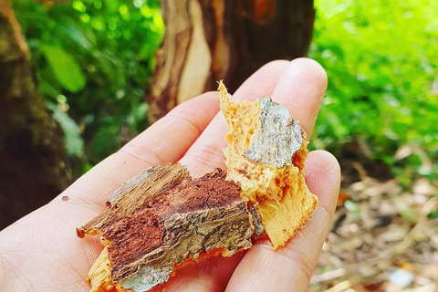 Zanzibar : Stone Town, visite des épices et de l'île prison avec déjeunerVisite privée