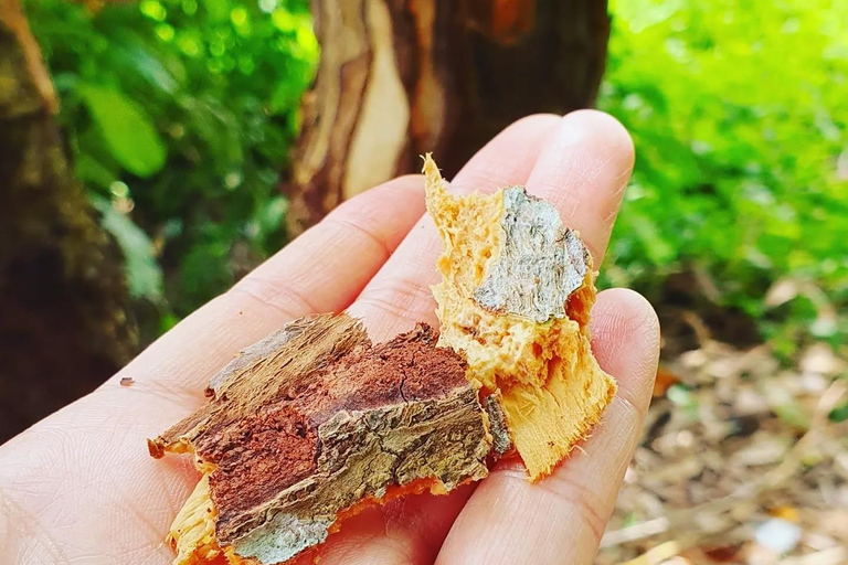 Zanzibar : Stone Town, visite des épices et de l'île prison avec déjeunerVisite privée