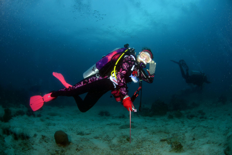 Pattaya: Fun Dive 2 Ocean Dives and Lunch (Certified Diver)