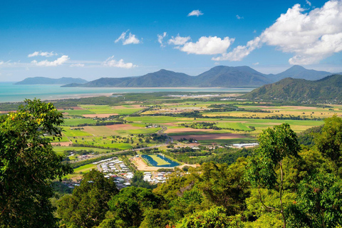 Cairns: Biglietto di ingresso per Koala e Creature