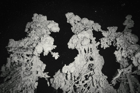 Rovaniemi: Nachtfotografie-Tour im Riisitunturi-Nationalpark