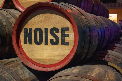 Irish Beer Tour in Dublin with Guinness Storehouse Tickets 3-hour: Tasting of 6 Beers with Snacks