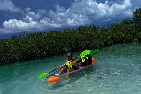 Providenciales Mangrove Kayak Tour With Turtle Sightings