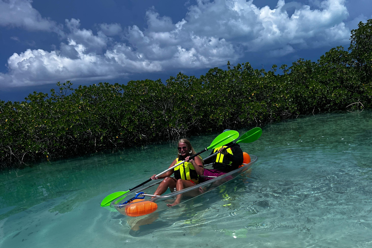 Providenciales Mangrove Kayak Tour With Turtle Sightings