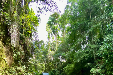 Ubud rice terrace, waterfall, and temple guided trip Bali