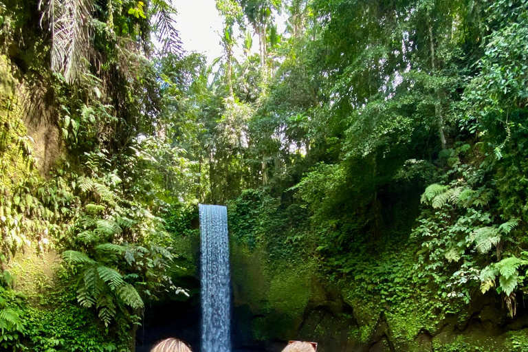 Ubud rice terrace, waterfall, and temple guided trip Bali