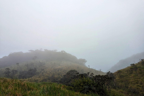 Thangappuwa Falls: Explore One of Knuckles’ 7 Cascades