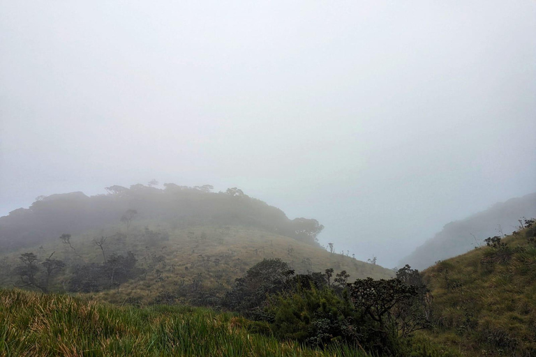 Thangappuwa Falls: Explore One of Knuckles’ 7 Cascades