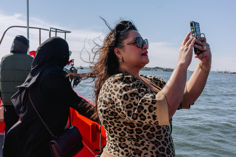NYC Skyline &amp; Statue of Liberty Sightseeing Cruise90 minuten durende rondleiding