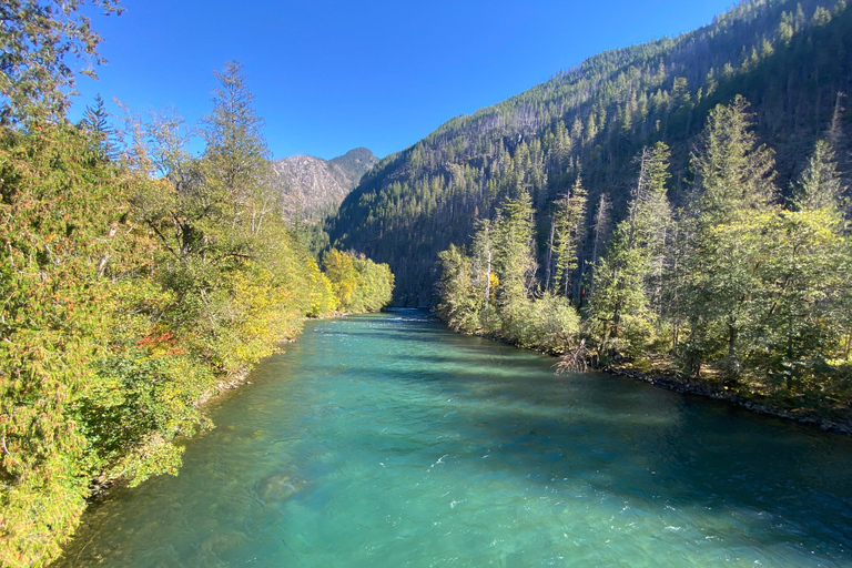 Seattle: North Cascades Highlights (with catered lunch) Seattle: North Cascades Highlights