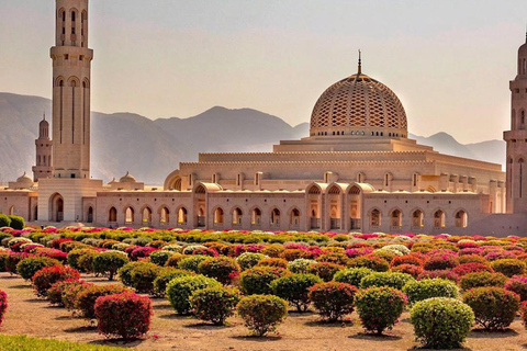 visite de la ville de muscat avec déjeuner