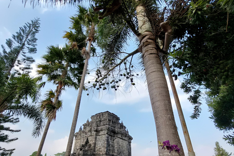 Yogyakarta: Hiking Nature Waterfall & Temples Tour Yogyakarta: Siluwok Waterfall & Temples Tour