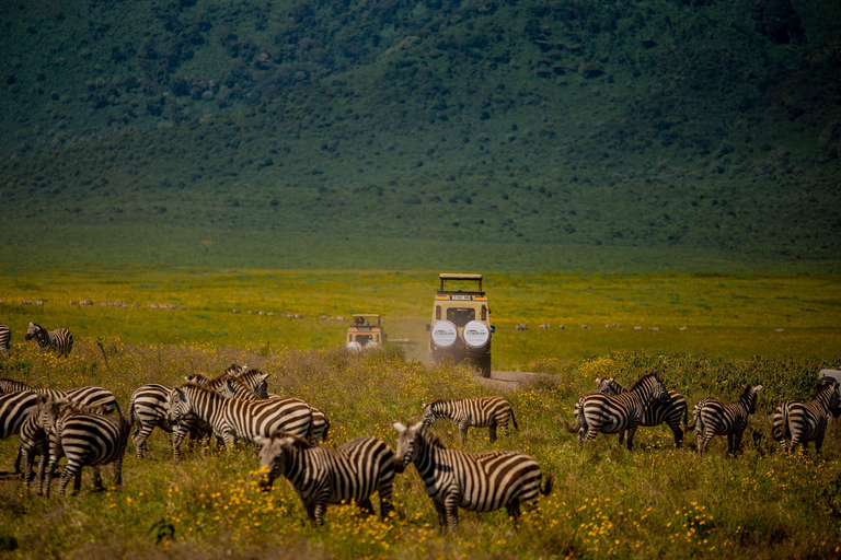 Arusha : excursion d&#039;une journée au cratère du Ngorongoro avec déjeuner