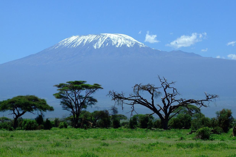 Amboseli und Maasai Mara 5Tage