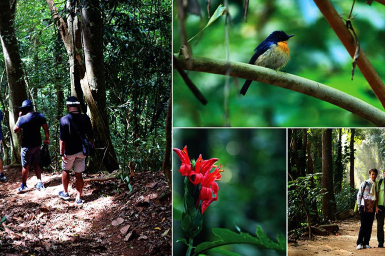 Kandy: Heritage and Architectural tour