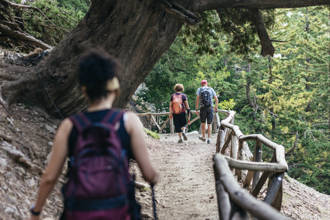 Vanuit Rethymno: Samaria Gorge-dagtocht met pick-upVanuit Gerani, Petres, Dramia, Kavros en Georgioupolis