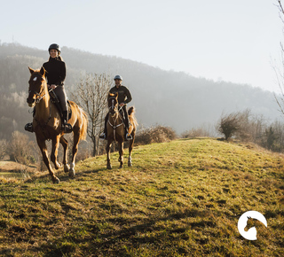 Sorties à cheval à Ciampino