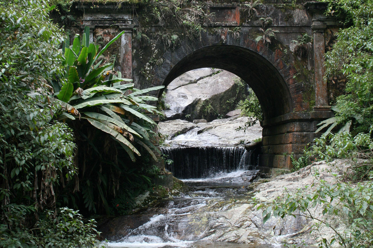 Rio de Janeiro: Tijuca National Park & Botanic Garden Tour