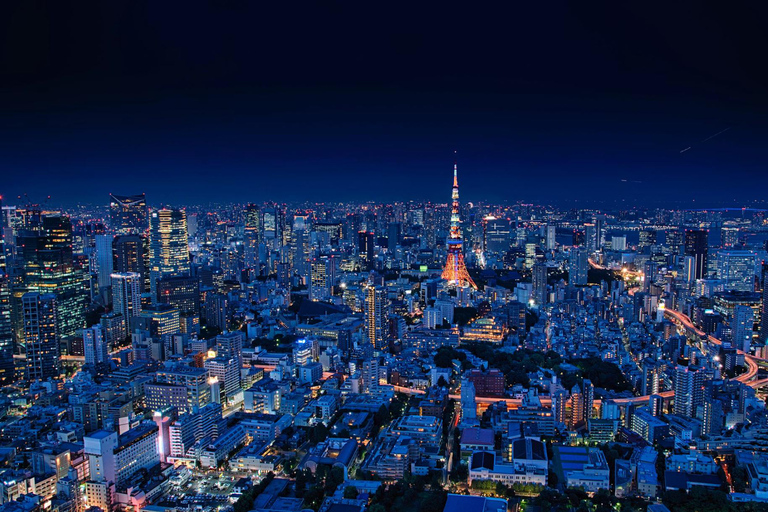 Tokyo: 8-Day Tour with Fuji, Kyoto, Nara, Hiroshima & Osaka Day 8 - Osaka Highlights (Spanish)