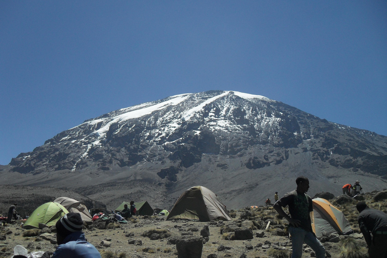 Kilimangiaro: scalata di 7 giorni della Machame Route con le guide