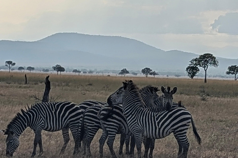 Arusha: 4 giorni di safari nel Serengeti e nel cratere Ngorongoro