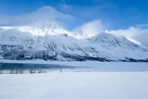 Tromsø: Dagstur med fjorde, bjerge og byens højdepunkter