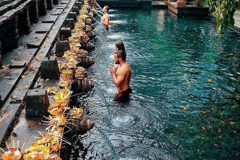 Bali: ubud tour waterfall, Temple, and Monkey Forest Tour