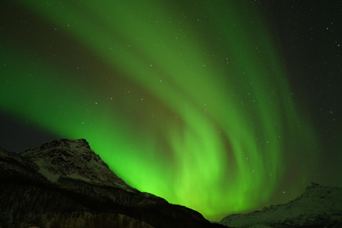 Tromsø: Northern Lights Tour with Free Professional Photos