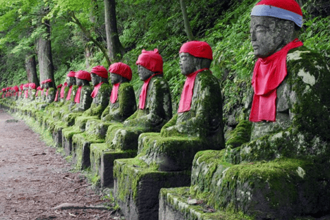 Tokyo: Nikko Craft, Forest Local Food Private Day Experience