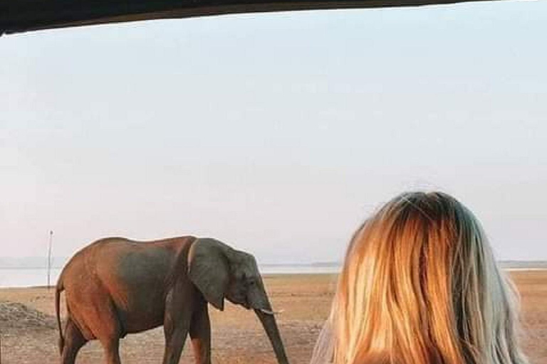 3-dagars safari Zanzibar till Nyerere Park med båt, bil och flyg