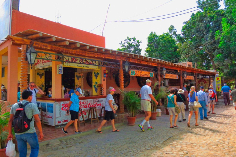 From Ica: Wine and Pisco Vineyards Tour | Free Tasting |