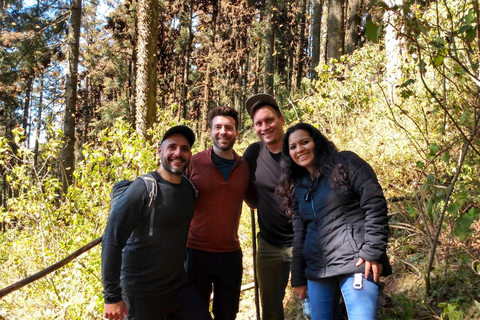 Tournée des papillons monarques au Mexique : Sierra Chincua et AngangueoPetit groupe