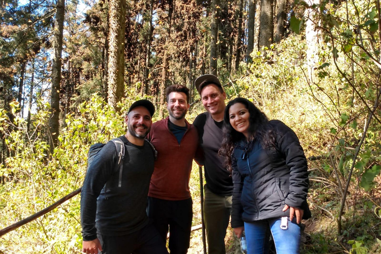 Tour das borboletas-monarca no México: Serra Chincua e AngangueoPrivado