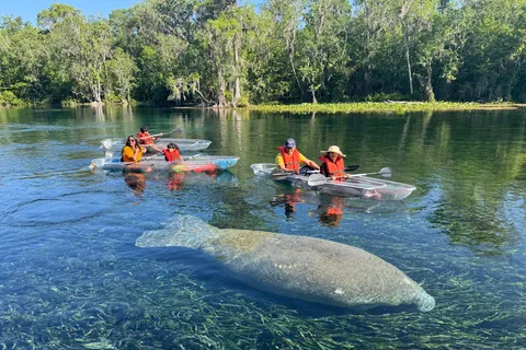 Silver Springs: Manatees and Monkeys Clear Kayak Guided Tour