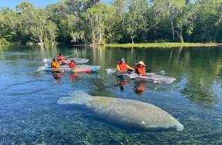 Silver Springs: Manatees und Affen – geführte Tour mit transparentem Kajak