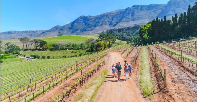 Cape Town: Iconic Constantia Food, Wine and Story Walk