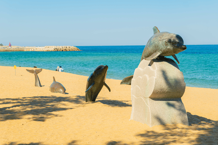 Sokcho Beach, Market and Seorak Cable Car tour from Seoul 7:15 KFC, Hongik University Station, Exit 9